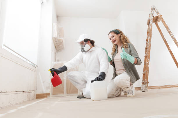 Best Real Estate Mold Inspection  in Harmony, RI